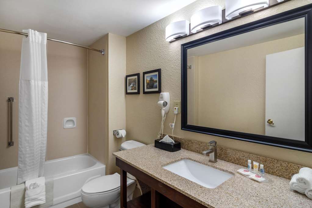 Comfort Suites Woodstock Atlanta North - photo 23