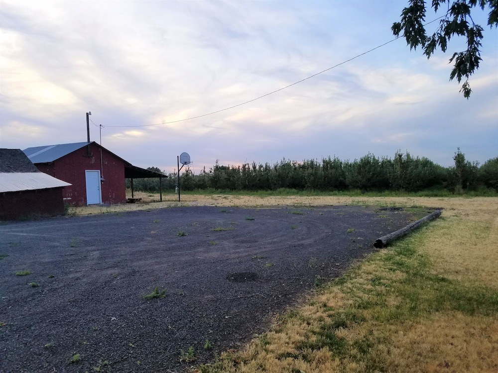 Out West Motel - photo 14