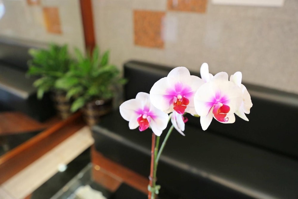 Phoenix Hotel - photo 28