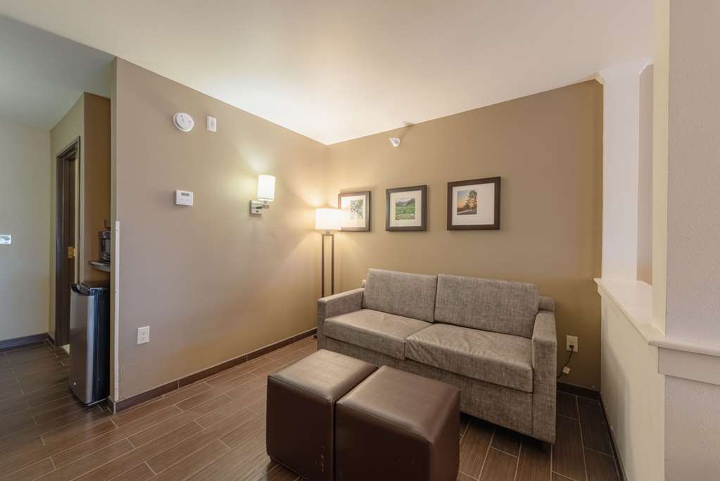 Comfort Inn & Suites Alamosa - photo 61