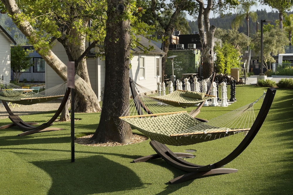 Dr. Wilkinson's Backyard Resort and Mineral Springs a Member of Design Hotels - photo 49