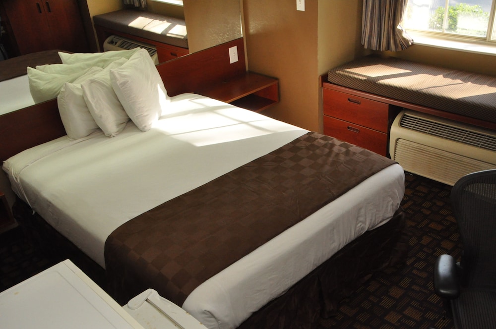 Microtel Inn & Suites by Wyndham Lithonia Stone Mountain - photo 9