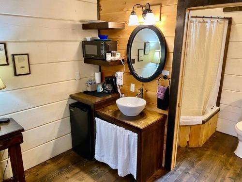 Tiny Home Cottage Near the Smokies #3 Ingrid - photo 8