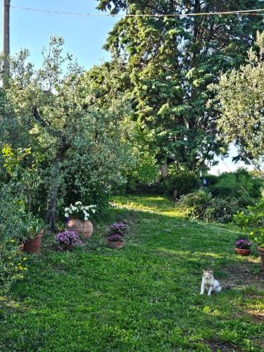 Il Casaletto di Simeone in Amelia, Italy