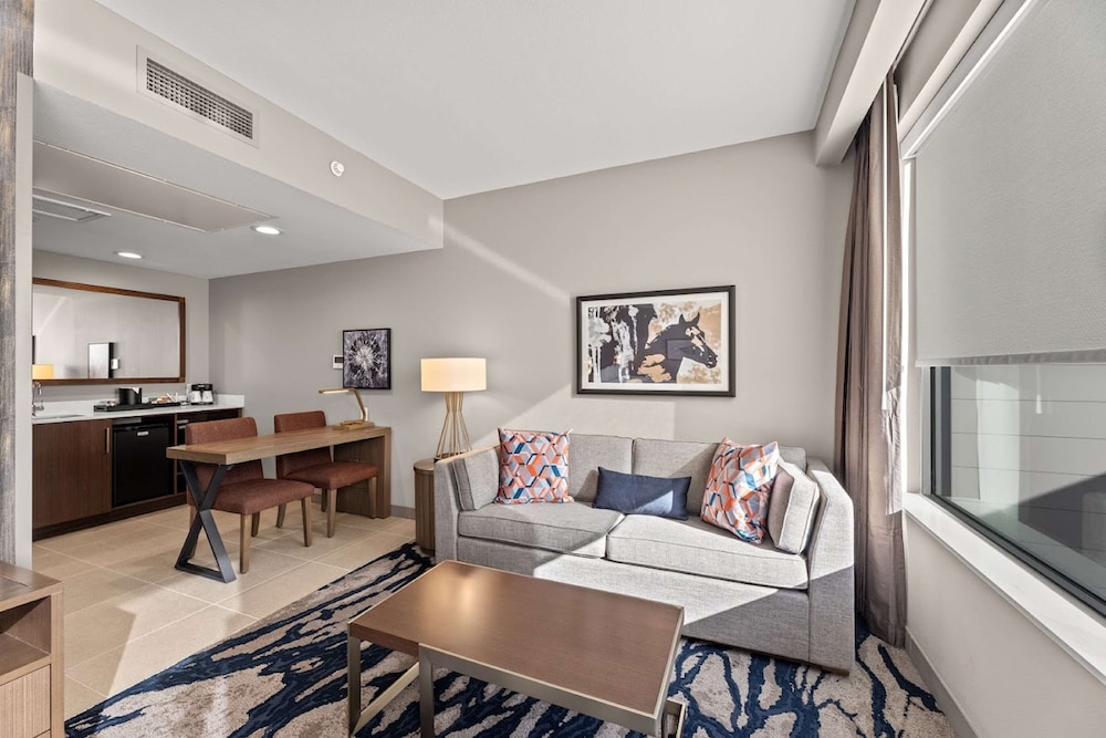 Embassy Suites by Hilton Irving Las Colinas - photo 14