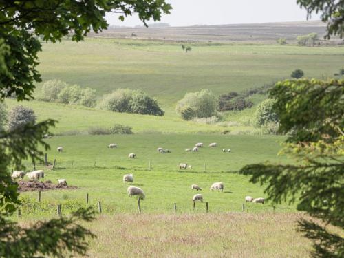 Pond Farm Woodlands