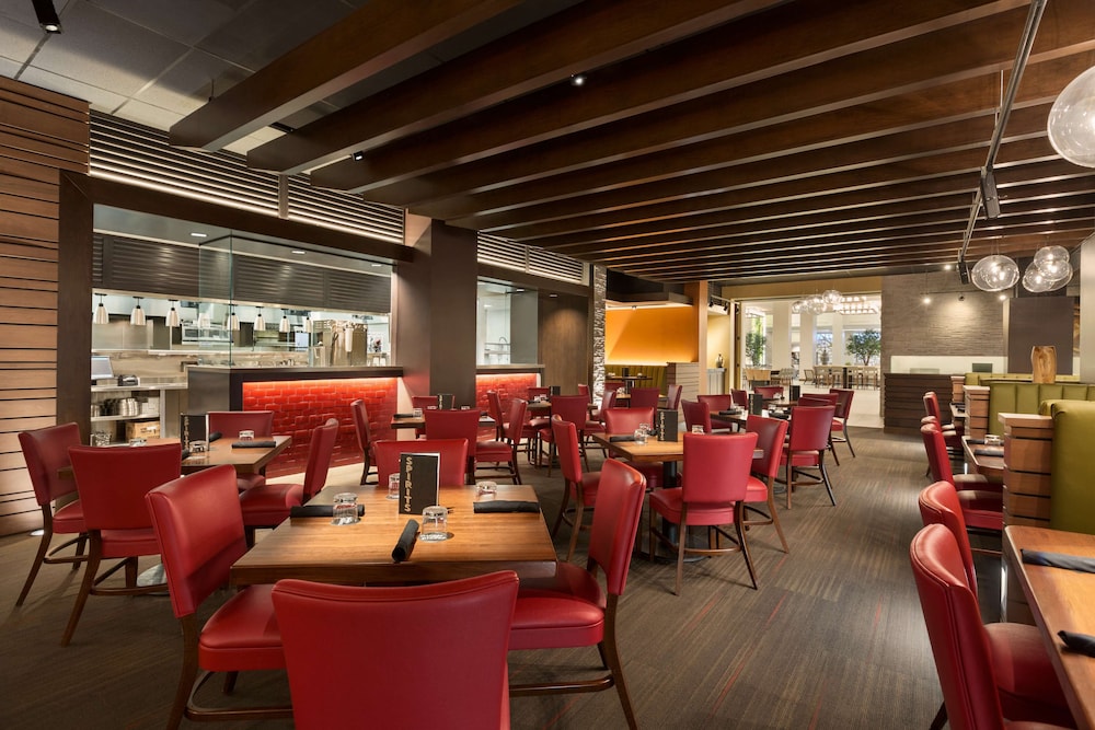 Embassy Suites by Hilton Denton Convention Center - photo 30