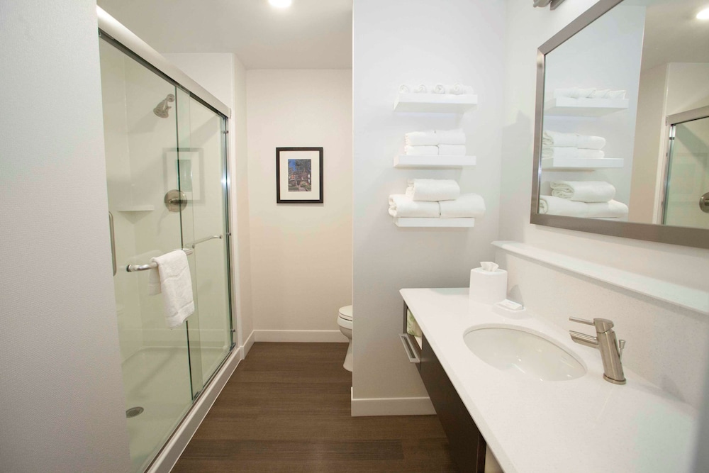 Hampton Inn & Suites Downtown St. Paul - photo 40