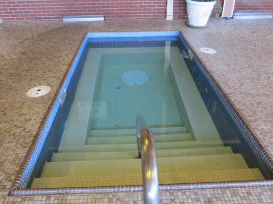 Hudson House Grand Hotel - photo 9
