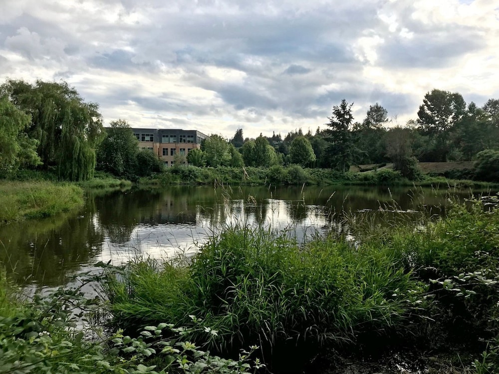 Residence Inn by Marriott Seattle Northeast Bothell - photo 34