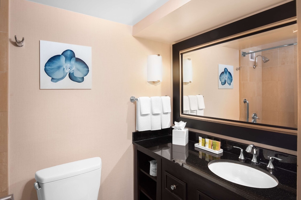 Hilton San Diego Airport Harbor Island - photo 29