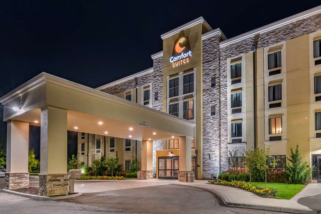 Comfort Suites Columbus Airport - photo 4