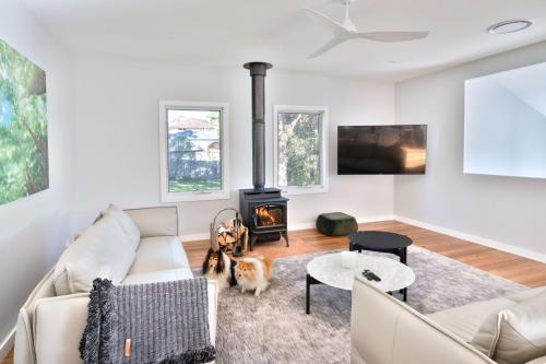 Coastal Pet Friendly Luxe — Narrawallee