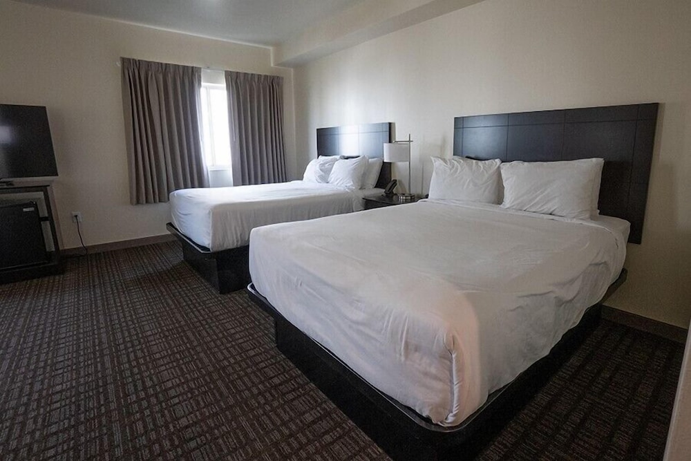 Cobblestone Inn & Suites Sheldon - photo 22