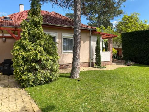 B4 Garden — Siofok — photo 2