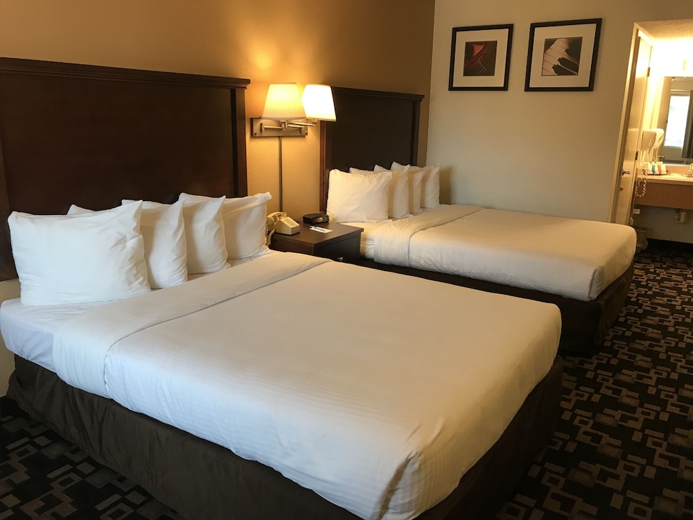 MorningGlory Inn & Suites - photo 4