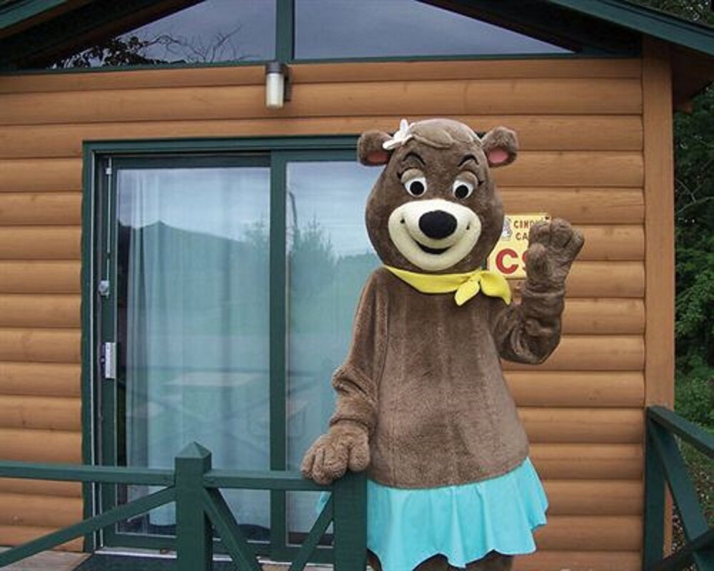 Yogi Bear's Jellystone Park Camp Resort Wisconsin Dells - photo 45