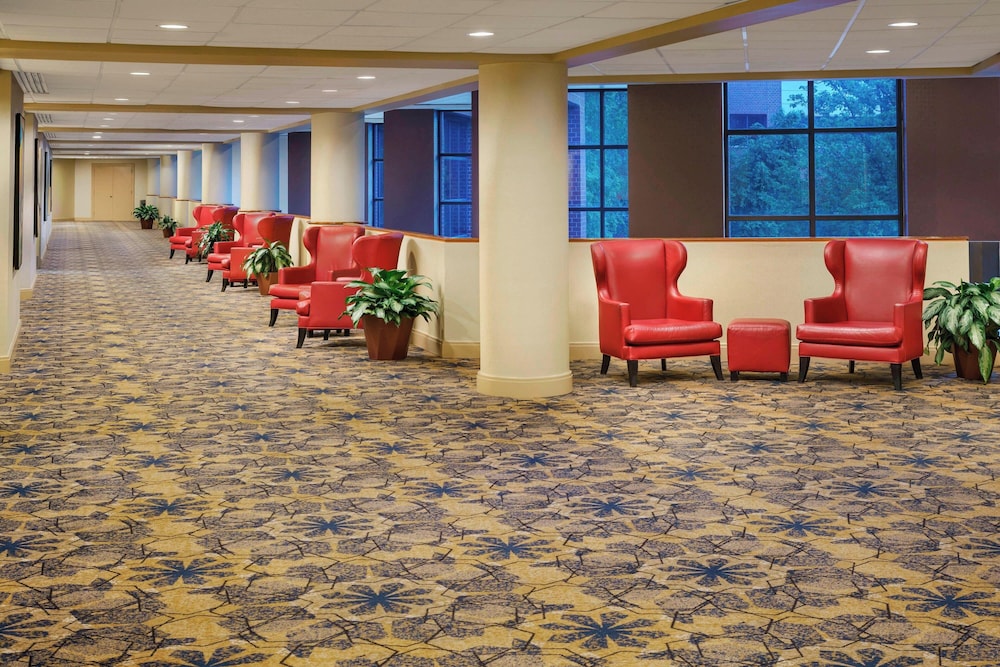 Sheraton Baltimore North Hotel - photo 34