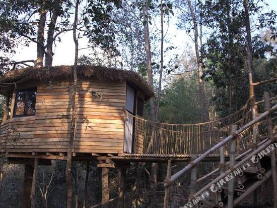 Bunjungle Adventures - last minute hotel in Kathmandu