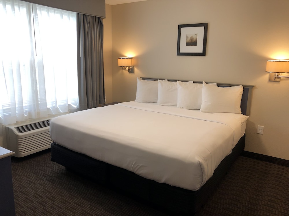 Independence Stay - photo 9