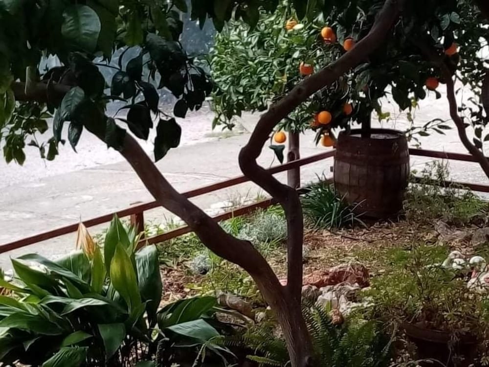 Ljupka 150m From sea A2 in Orebic, Croatia