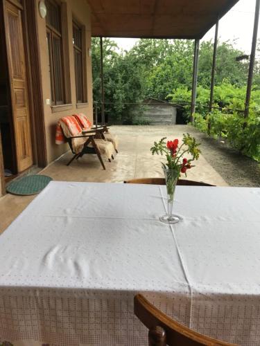 Guesthouse Kistauri