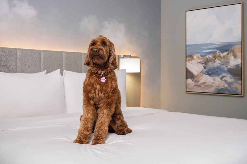 Hotel Indigo Long Island East End by IHG - photo 47