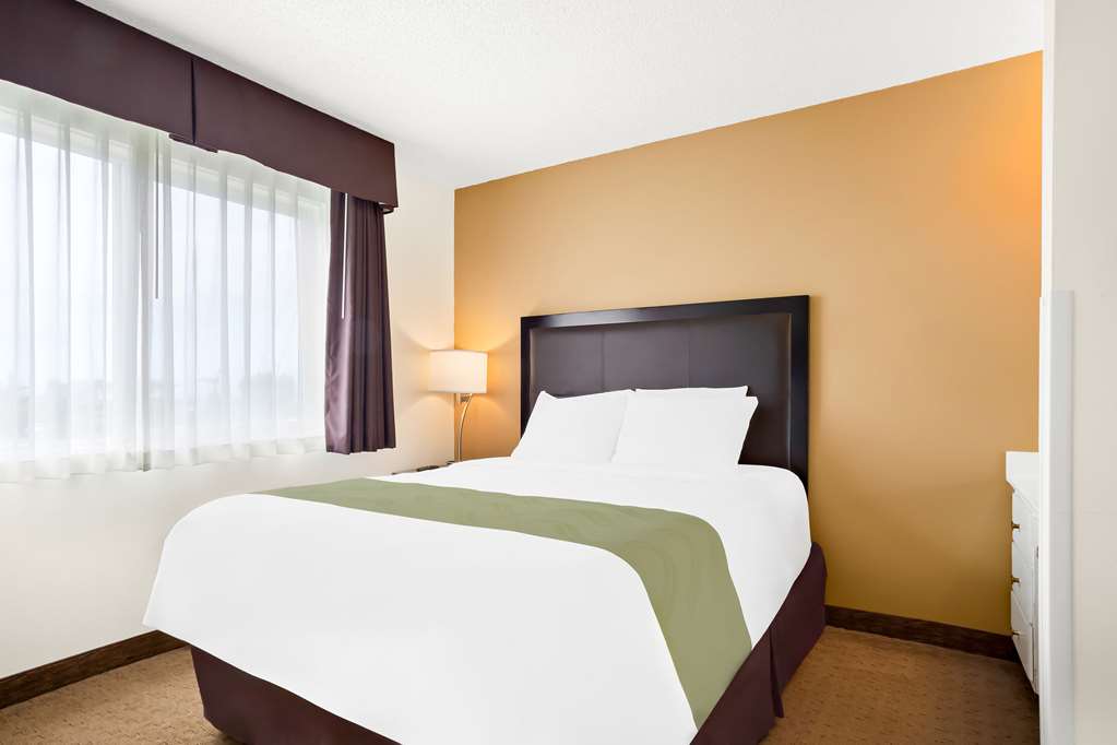 Quality Inn Port Angeles near Olympic National Park - photo 10