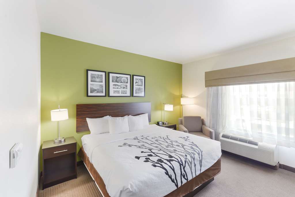 Sleep Inn & Suites Midland West - photo 16