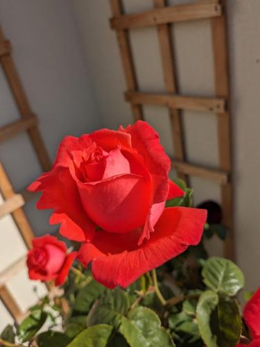 Rosegarth Bed and Breakfast