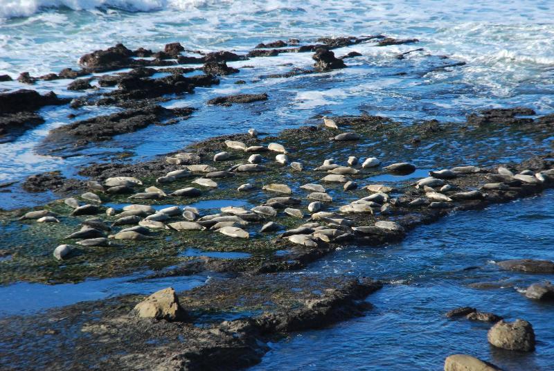 Otter Rock Timeshares - photo 20
