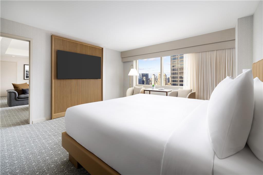 Hyatt Regency Times Square - photo 18