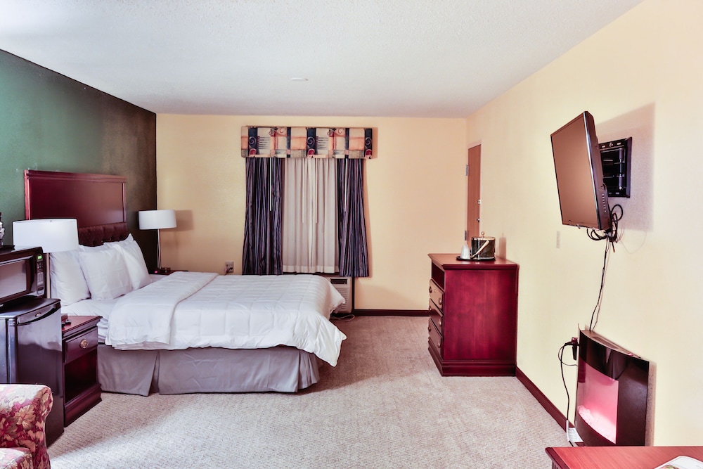 The View Inn & Suites - photo 10