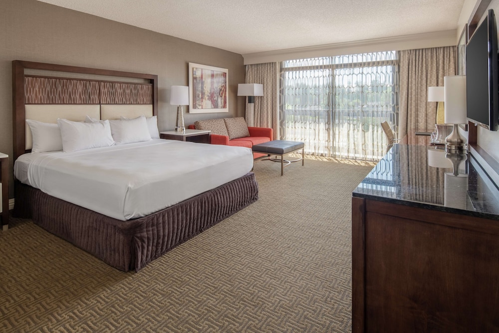 Hilton Bellevue - photo 8
