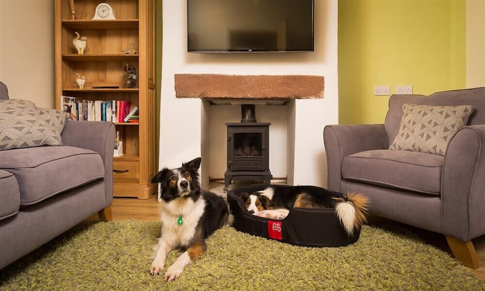 The Cats Bield - carbon neutral hotel in Keswick