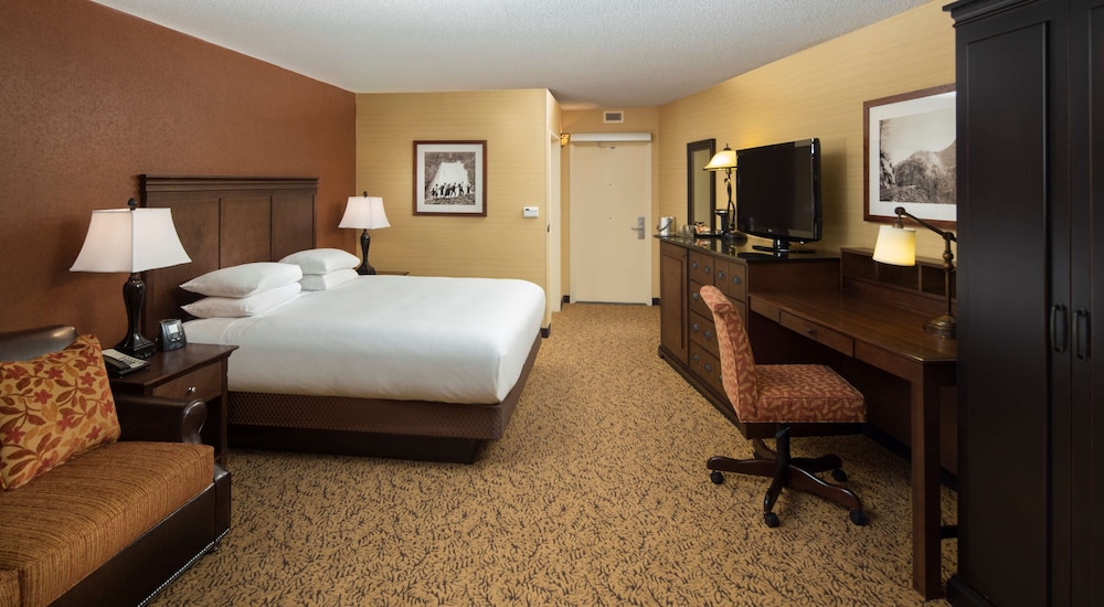 The Park Vista a DoubleTree by Hilton Hotel Gatlinburg - photo 8