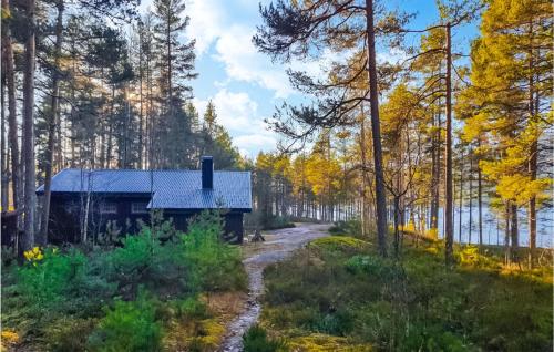Awesome Home In Fyresdal With Kitchen — 4-Star Luxury Hotel in Fyresdal, Norway