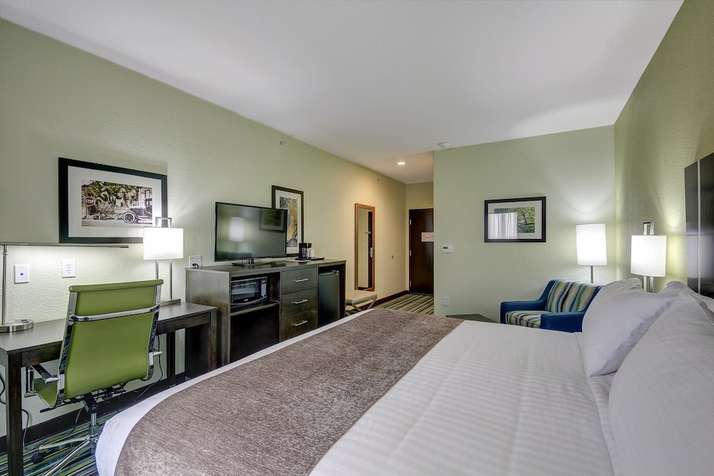 Holiday Inn Express & Suites Carrizo Springs by IHG - photo 11