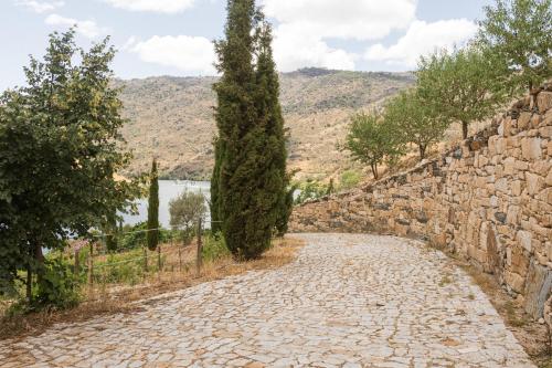 Olhares do Douro — hotel in Torre De Moncorvo