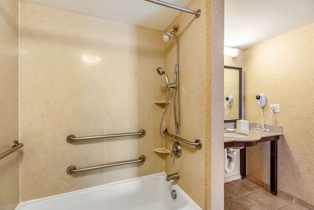 Hampton Inn & Suites Orlando South Lake Buena Vista - photo 29