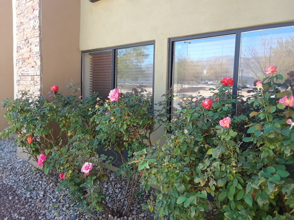 Amerstone Inn & Event Center - photo 24