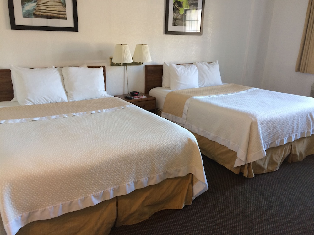 Days Inn by Wyndham West Rapid City - photo 4