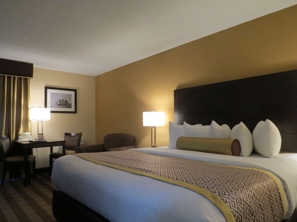 Cape Cod Hotel - photo 13
