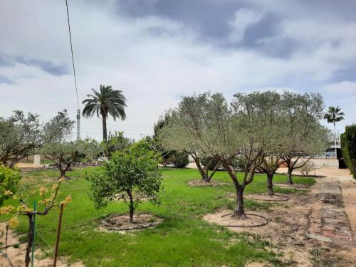 Preciosa finca con piscina R105 by Novadesta in Elche, Spain