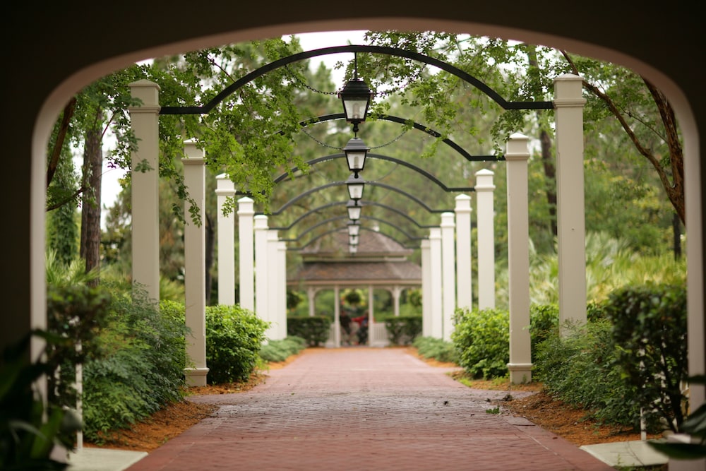 Disney's Port Orleans Riverside - photo 12