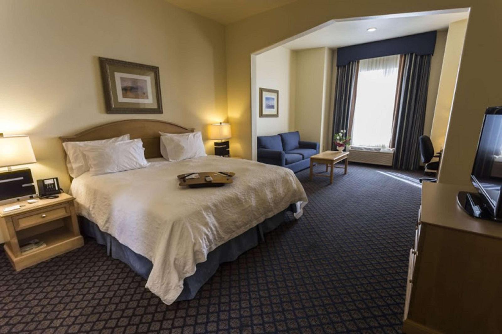 Hampton Inn & Suites San Jose CA - photo 4