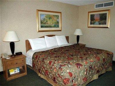 Holiday Inn Denver West Across from Colo Mills - photo 3