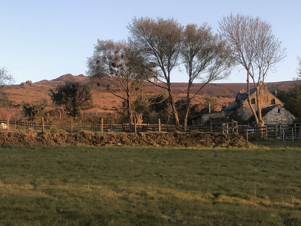 Penfeidr Newydd in Newport, United Kingdom