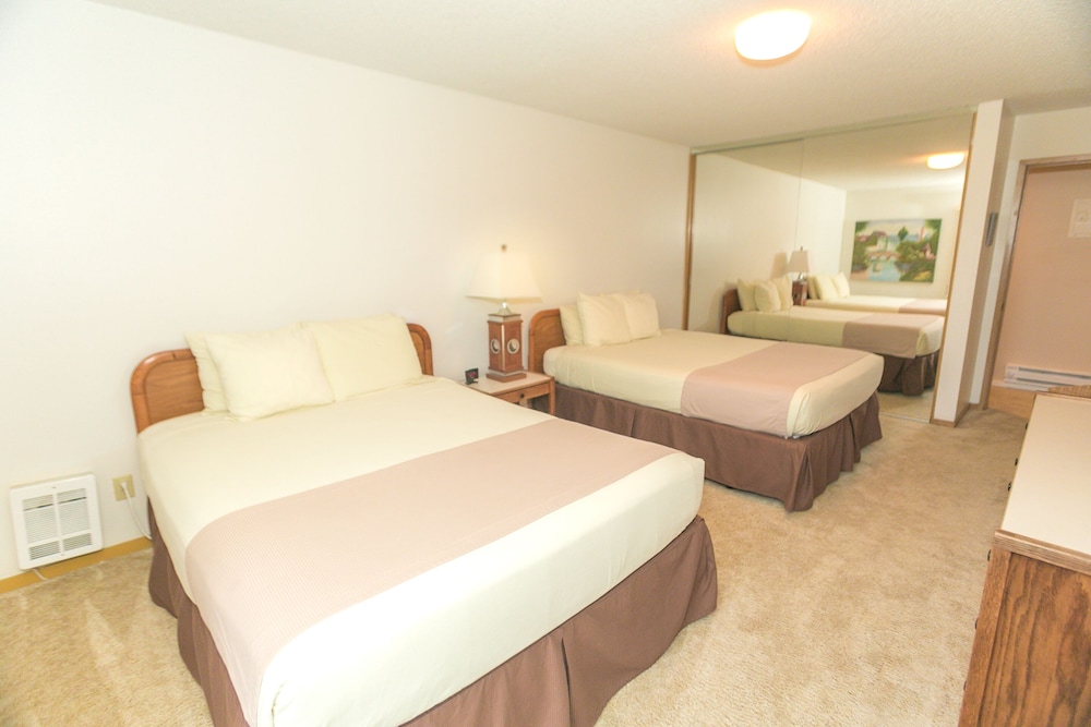 The Grey Gull - photo 5