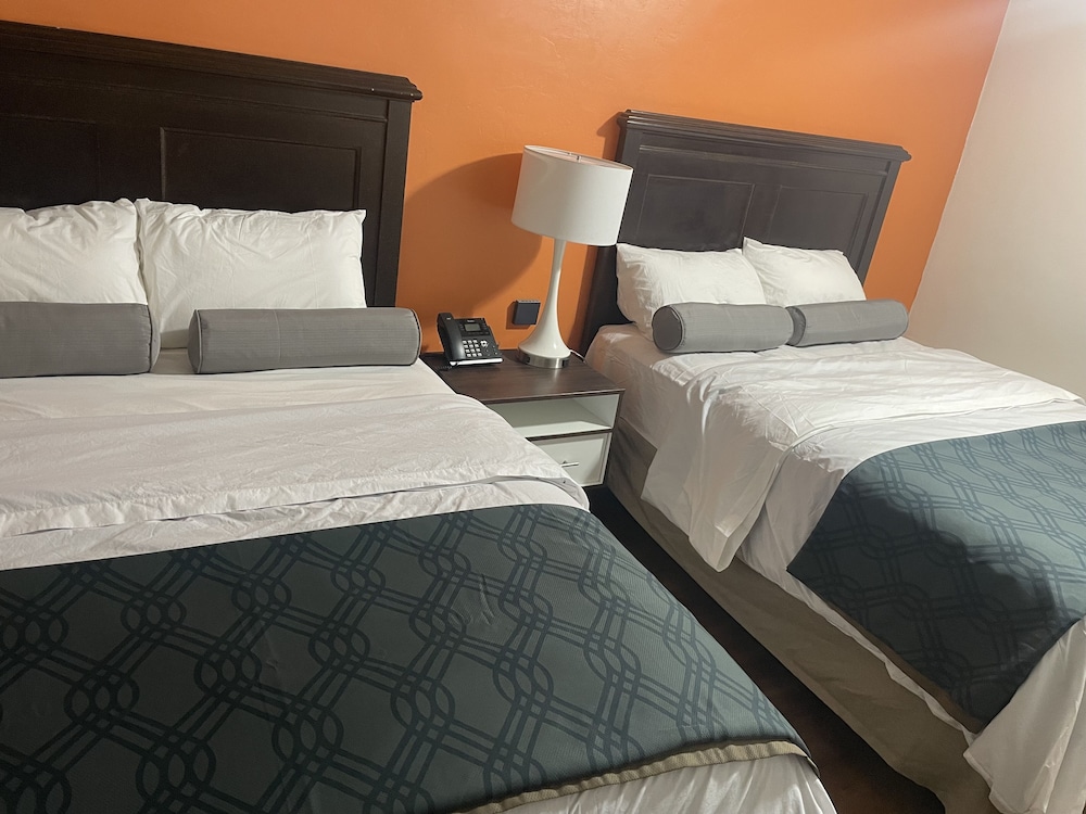 Alien Residence Inn - photo 4